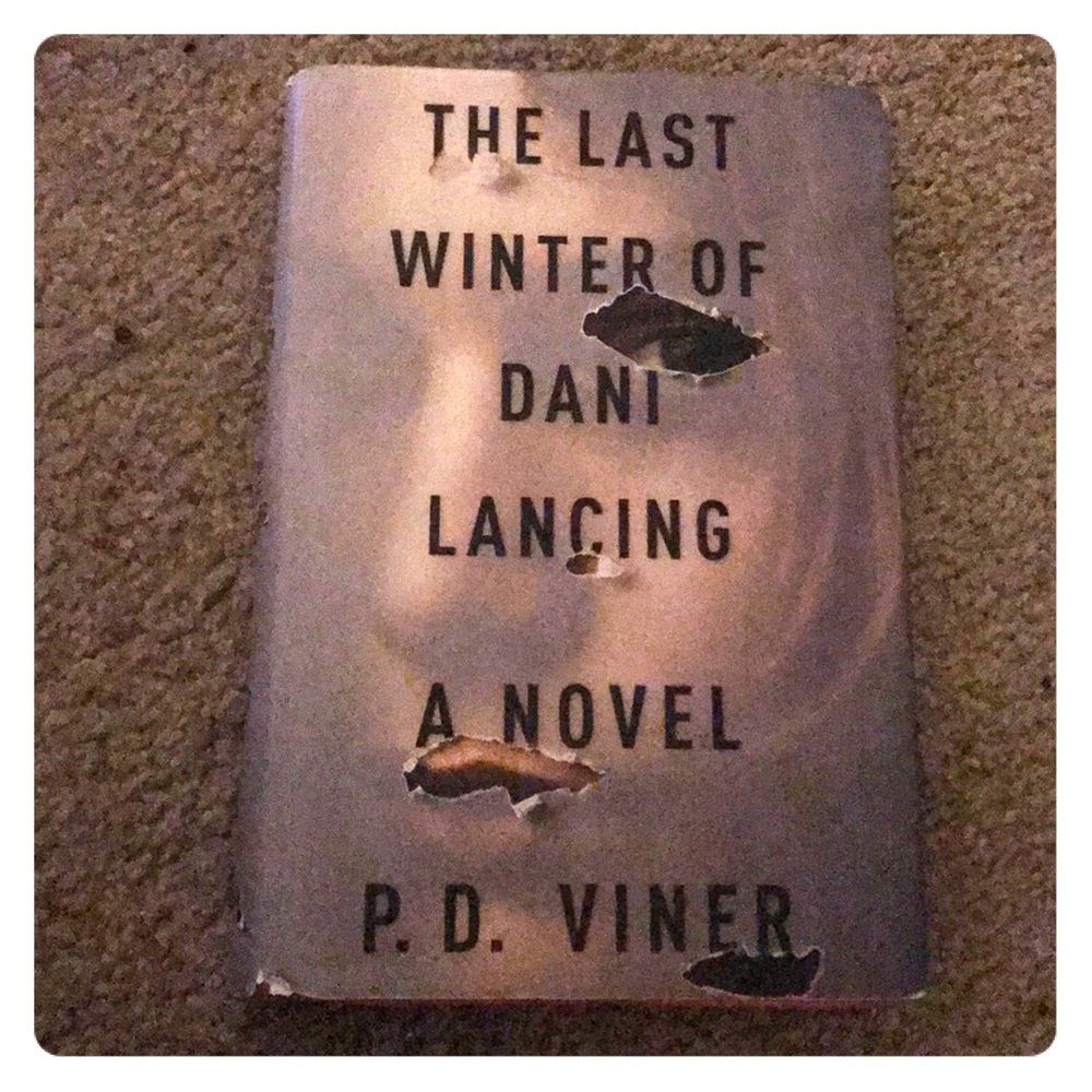 The Last Winter Of Dani Lancing